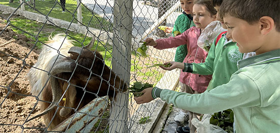 ÇOCUKLAR HAYVANAT BAHÇESİNİ SEVDİ