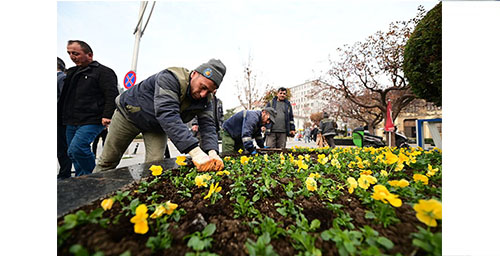 LALE, SÜMBÜL VE MENEKŞELER DİKİLİYOR